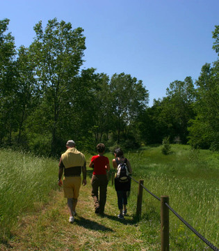 Basso Ferrarese Passeggiata tra le dune di Massenzatica © Andrea Samaritani - Archivio fotografico Provincia di Ferrara