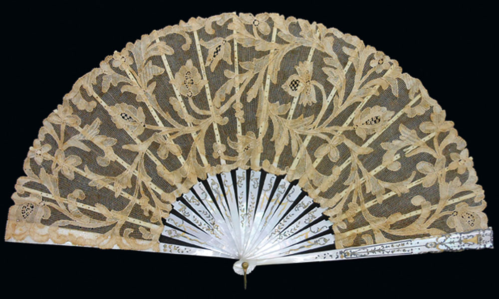 Cupra Marittima. Universo di conchiglie Ventaglio di madreperla © Museo Malacologico Piceno