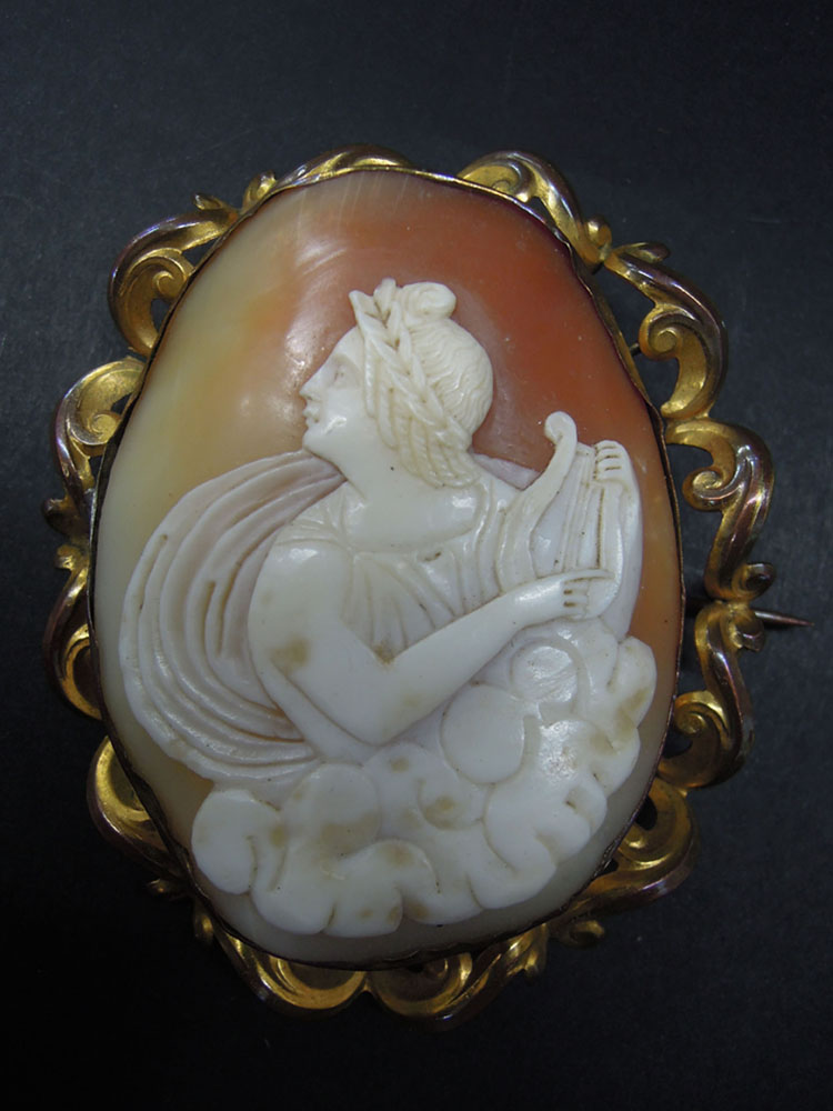 Cupra Marittima. Universo di conchiglie Antico cammeo © Museo Malacologico Piceno