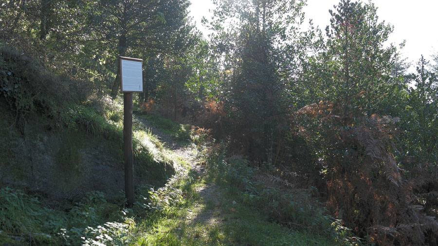 Convento di Monte Senario, i sentieri nei boschi © William Dello Russo