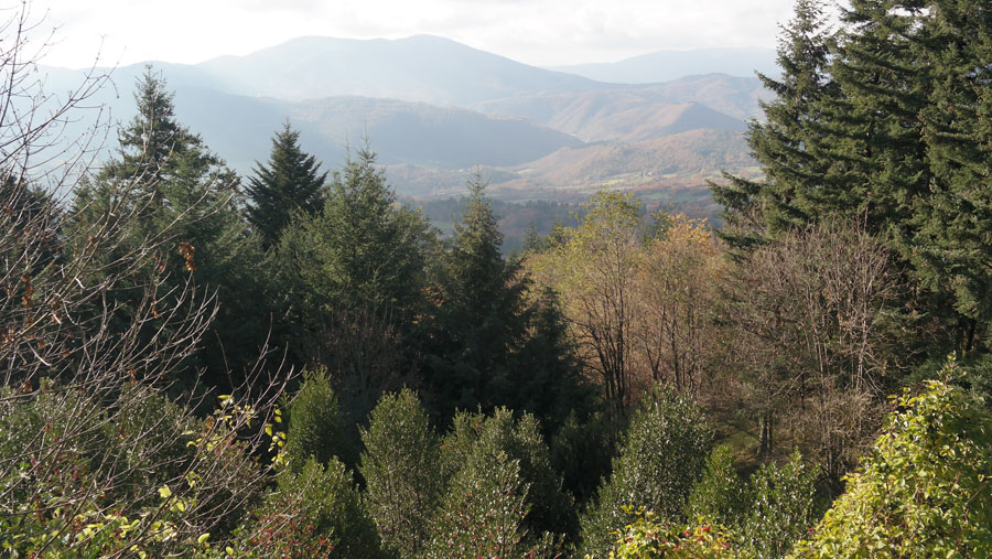 Convento di Monte Senario, panorama © William Dello Russo