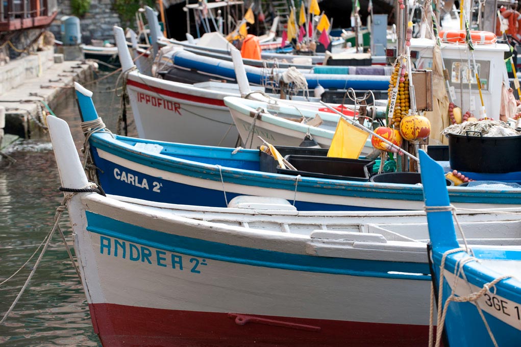 Camogli Barche nel porticciolo ©Natalino Russo