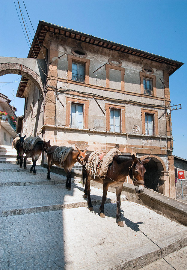 Artena Trasporti a dorso di Mulo © Fabrizio Ardito