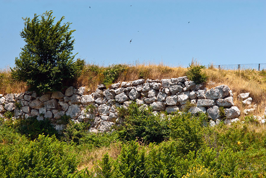 Artena Resti di Pian della Civita © Fabrizio Ardito