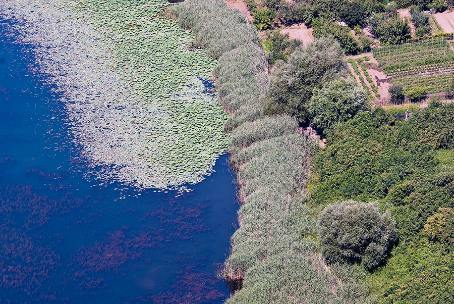 Nemi Le rive del lago di Nemi © Fabrizio Ardito