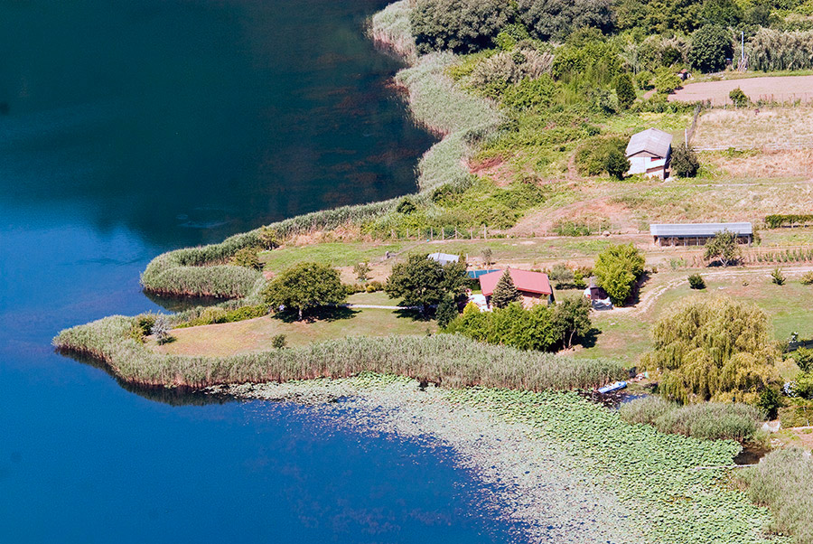 Nemi Le rive del lago di Nemi © Fabrizio Ardito