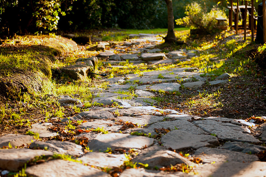 Nemi Tratto di strada lastricata romana sui Colli Albani © Natalino Russo