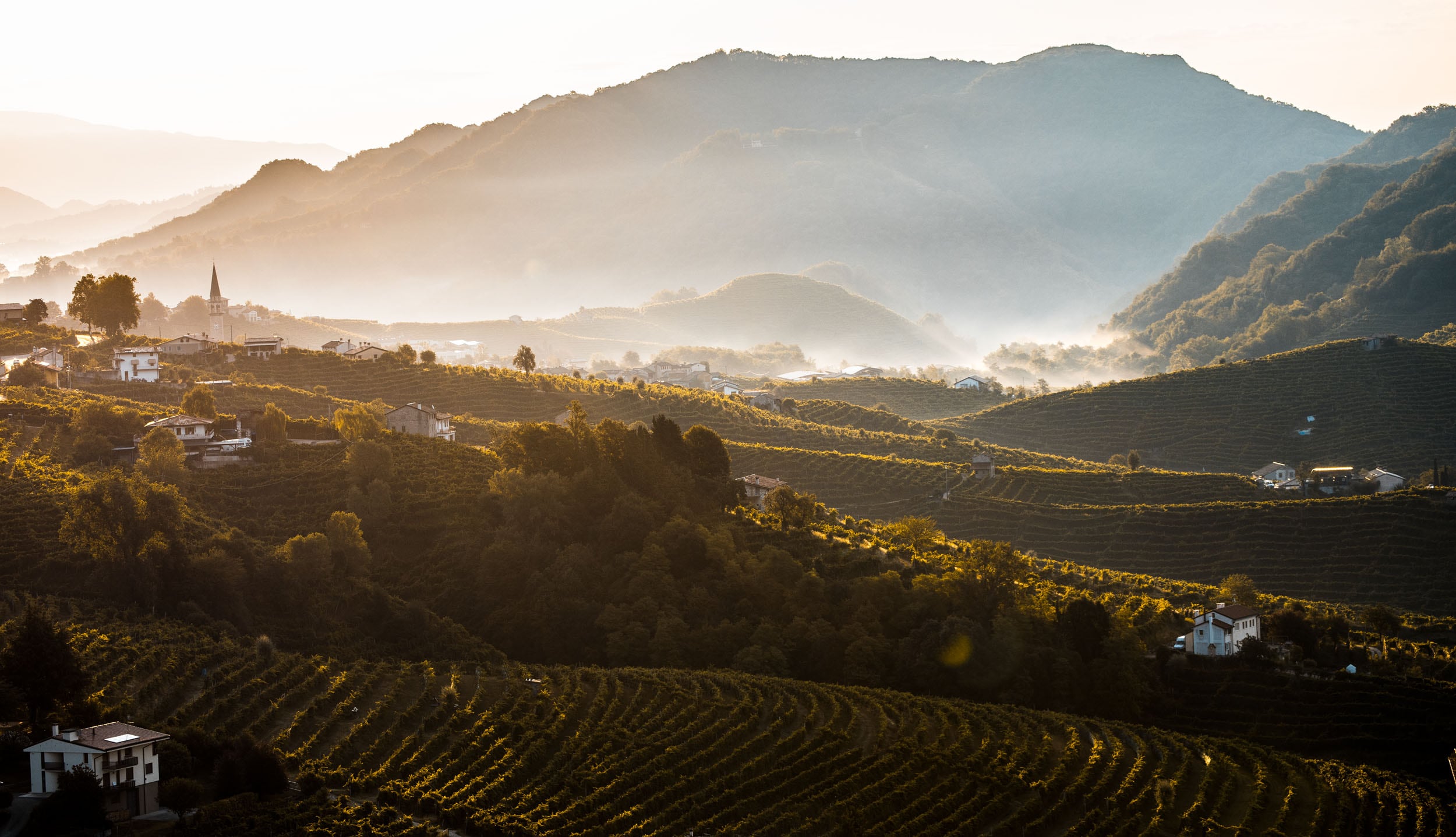 I vigneti del Cartizze. © A. Cambone, R. Isotti - Homo ambiens/Touring Club Italiano
