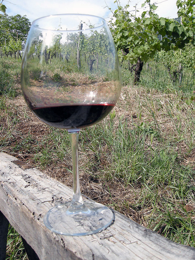 Strada del vino cesanese Il vino cesanese © Ass. per la gestione della Strada del Vino Cesanese - www.stradadelvinocesanese.it - pagina facebook https://www.facebook.com/STRADADELVINOCESANESE