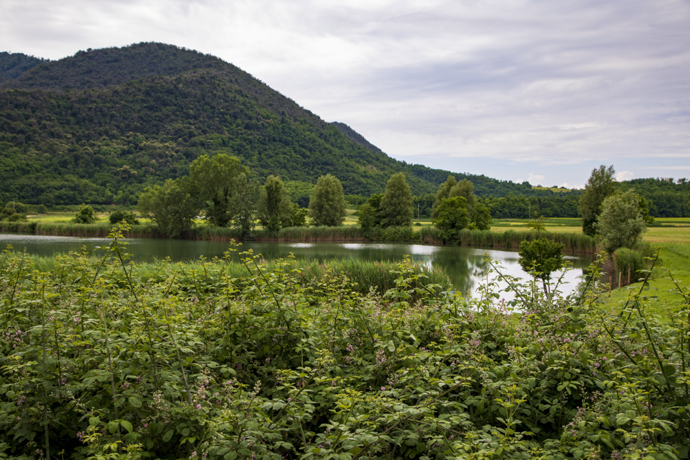 Lago della Costa - Arquà Petrarca © A. Rossi, Camaleo S.r.l. (Rm) Su concessione del Ministero della Cultura; riproduzione vietata