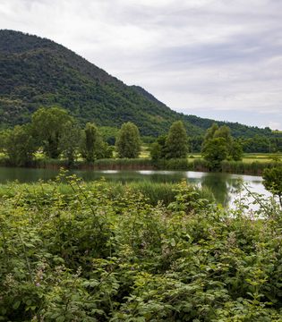Lago della Costa - Arquà Petrarca © A. Rossi, Camaleo S.r.l. (Rm) Su concessione del Ministero della Cultura; riproduzione vietata