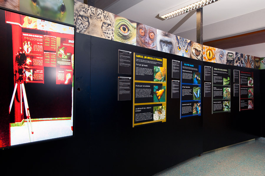 Bordano Casa delle Farfalle, museo © Fabrizio Ardito