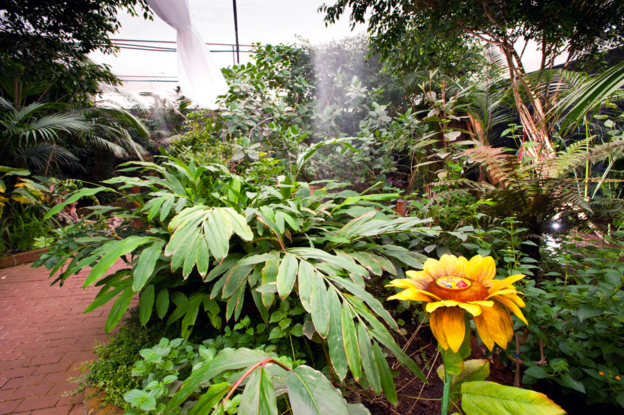 Bordano Casa delle Farfalle, serre © Fabrizio Ardito