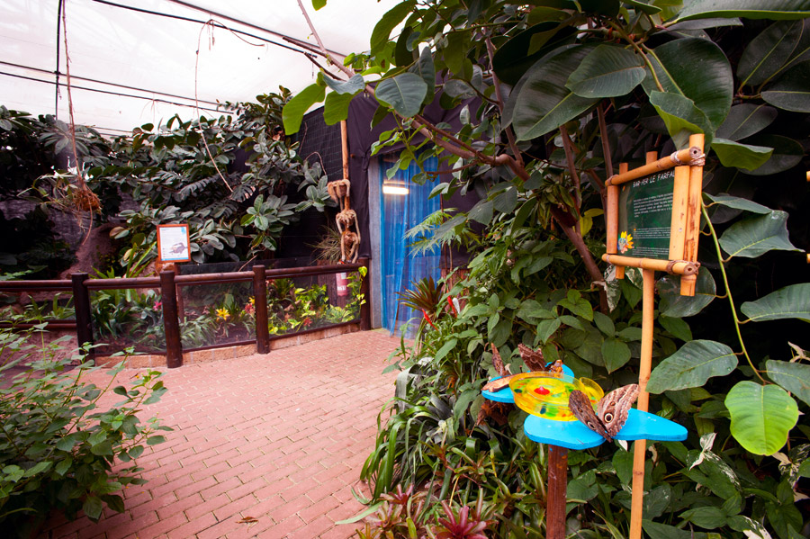 Bordano Casa delle Farfalle, serre © Fabrizio Ardito