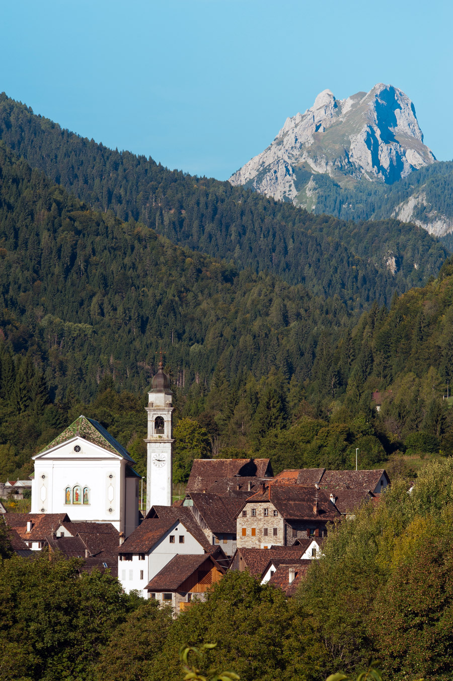 Pesariis Panorama del paese © Fabrizio Ardito