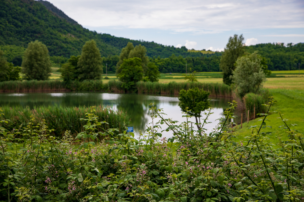 Lago della Costa - Arquà Petrarca © A. Rossi, Camaleo S.r.l. (Rm) Su concessione del Ministero della Cultura; riproduzione vietata