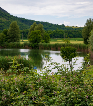 Lago della Costa - Arquà Petrarca © A. Rossi, Camaleo S.r.l. (Rm) Su concessione del Ministero della Cultura; riproduzione vietata
