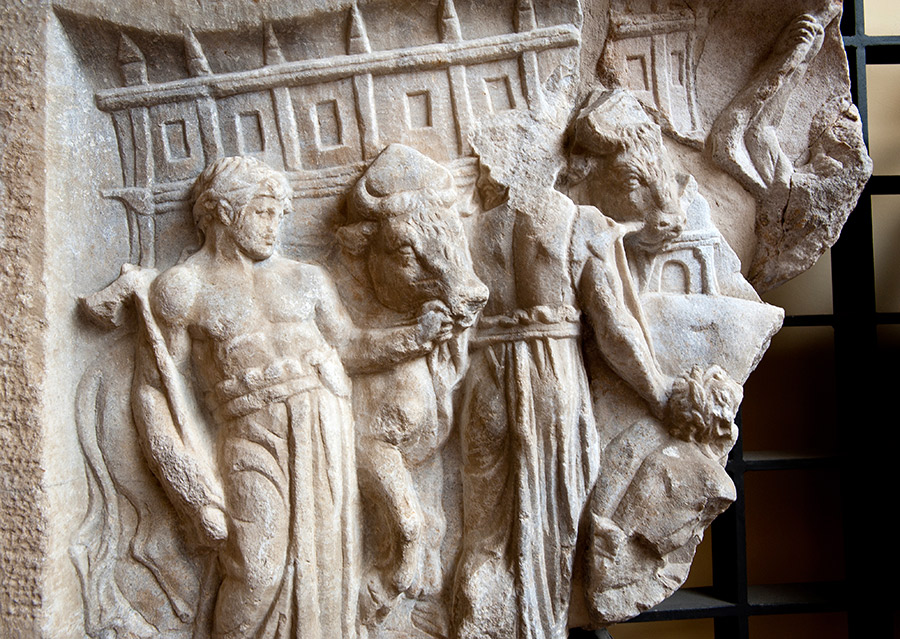 Santa Maria Capua Vetere Museo dei gladiatori © Natalino Russo