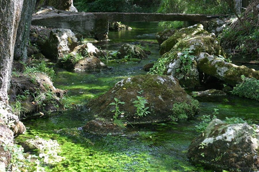 Pratella © acqua Lete