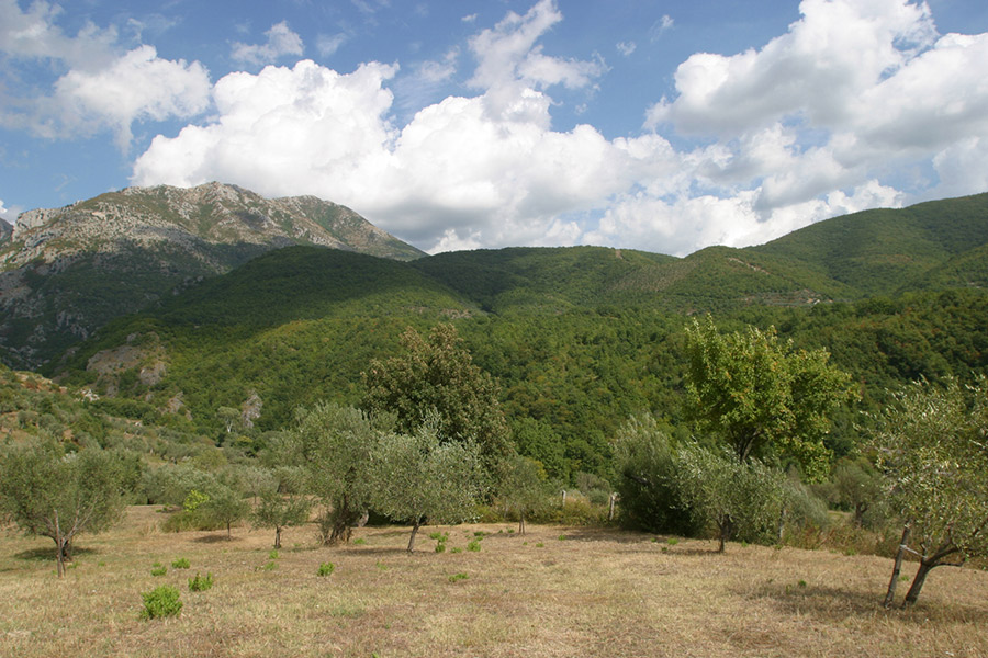 Pratella © acqua Lete