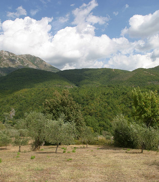 Pratella © acqua Lete
