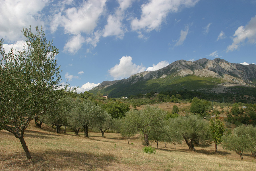 Pratella © acqua Lete