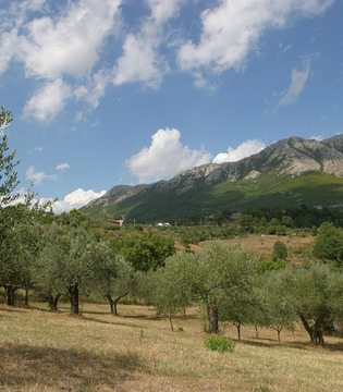 Pratella © acqua Lete