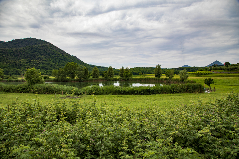 Lago della Costa - Arquà Petrarca © A. Rossi, Camaleo S.r.l. (Rm) Su concessione del Ministero della Cultura; riproduzione vietata