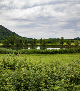 Lago della Costa - Arquà Petrarca © A. Rossi, Camaleo S.r.l. (Rm) Su concessione del Ministero della Cultura; riproduzione vietata