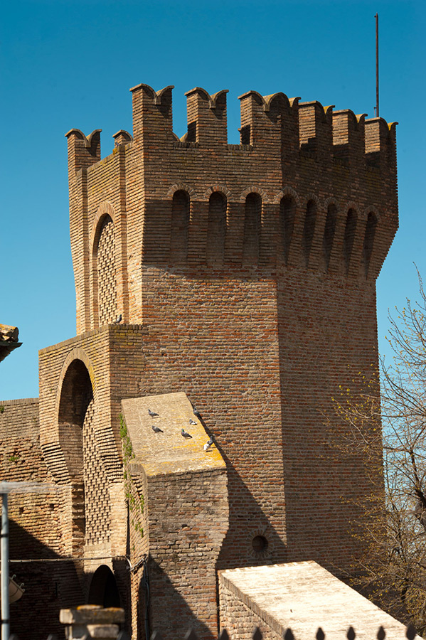 Corinaldo Torre sulle mura © Fabrizio Ardito