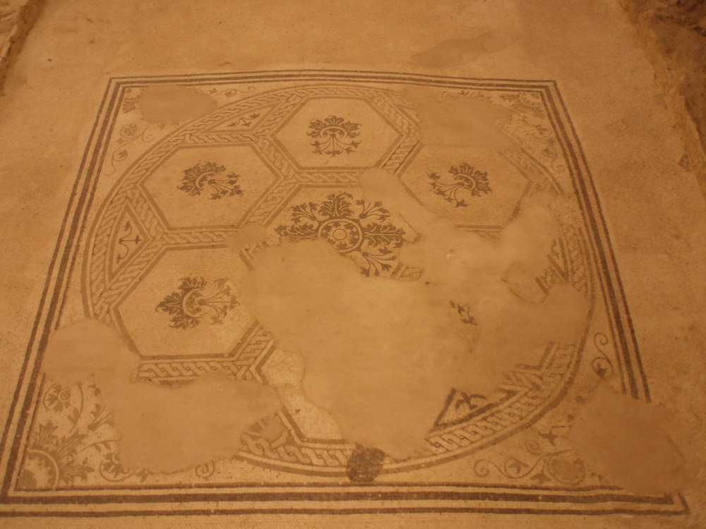 Suasa Mosaico della domus cc sa by Accurimbono, wikimedia commons