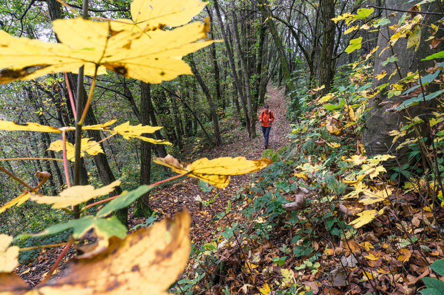 Paesaggi di Mondonico © Giulia Castelli e Mario Verin