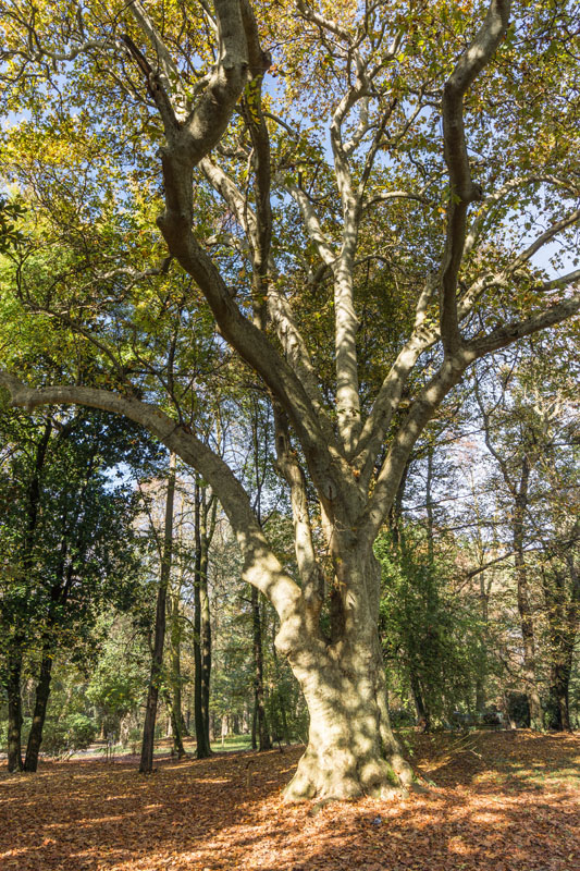 Monza Il parco della Villa Reale © Giulia Castelli e Mario Verin
