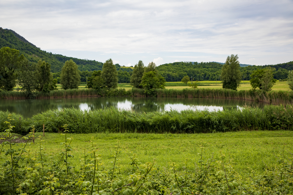Lago della Costa u2013 Arquà Petrarca © A. Rossi, Camaleo S.r.l. (Rm) Su concessione del Ministero della Cultura; riproduzione vietata