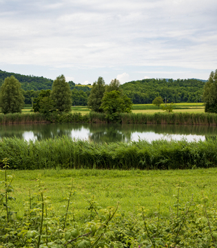 Lago della Costa u2013 Arquà Petrarca © A. Rossi, Camaleo S.r.l. (Rm) Su concessione del Ministero della Cultura; riproduzione vietata