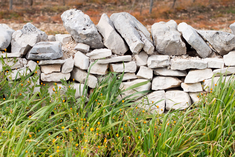 Corato Muretti a secco nella campagna pugliese © Natalino Russo