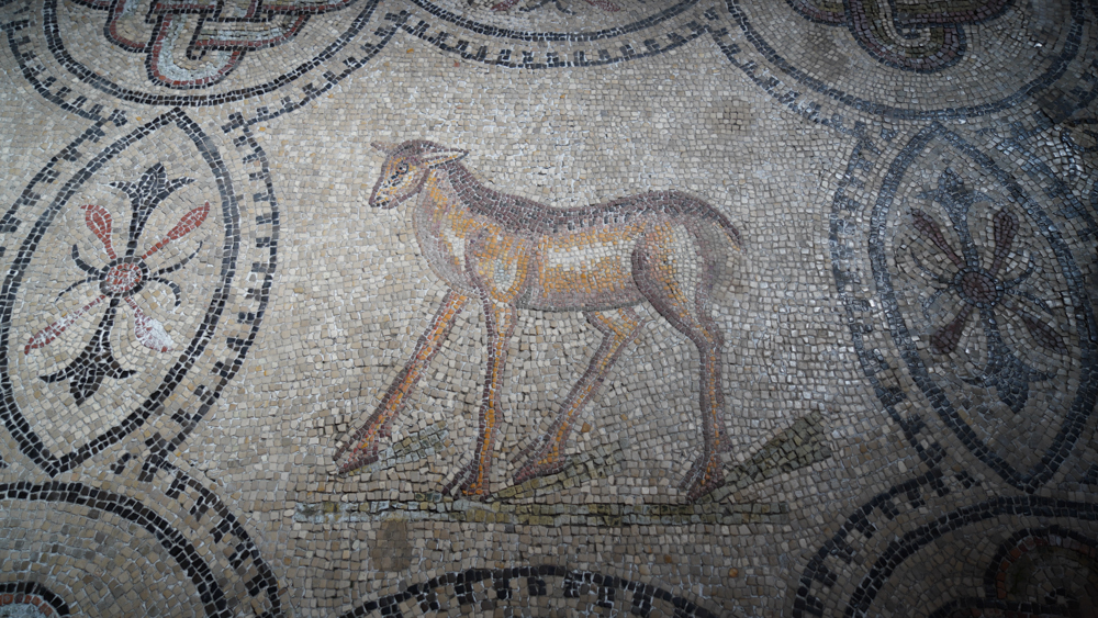 Basilica Patriarcale di Aquileia, dettaglio mosaici © A. Rossi, Camaleo S.r.l. (Rm) Su gentile concessione di Soprintendenza Archeologia, Belle Arti e Paesaggio del Friuli Venezia Giulia, So.Co.Ba, Fondazione Aquileia