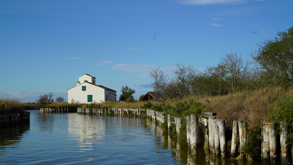 Delta del Po © A.Rossi, Camaleo S.r.l. (Rm) su gentile concessione del Parco Delta del Po Emilia Romagna e del Servizio Turismo Comune di Comacchio