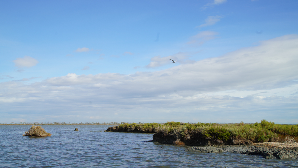 Delta del Po © A.Rossi, Camaleo S.r.l. (Rm) su gentile concessione del Parco Delta del Po Emilia Romagna e del Servizio Turismo Comune di Comacchio