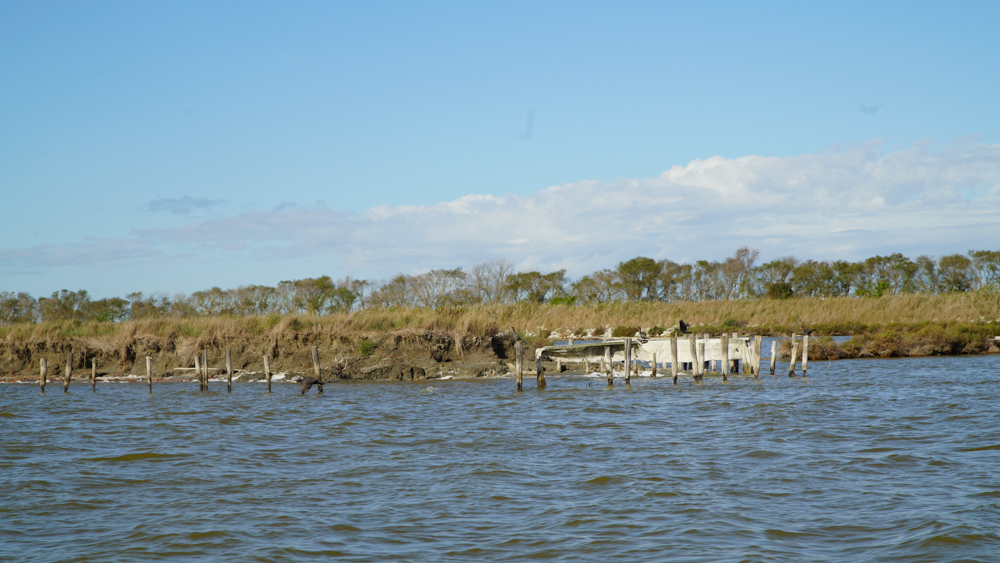 Delta del Po © A.Rossi, Camaleo S.r.l. (Rm) su gentile concessione del Parco Delta del Po Emilia Romagna e del Servizio Turismo Comune di Comacchio
