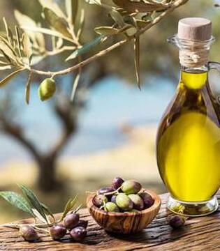 Olive taggiasche e il loro olio © Maurizio Stagnitto