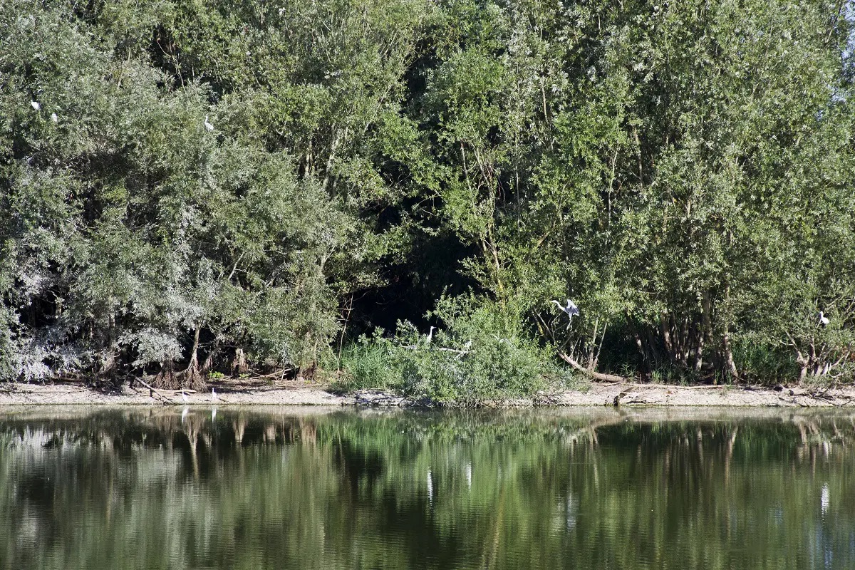 Lago-Ripa-Bianca-foto-di-Filippo-Tittarelli-3.jpeg