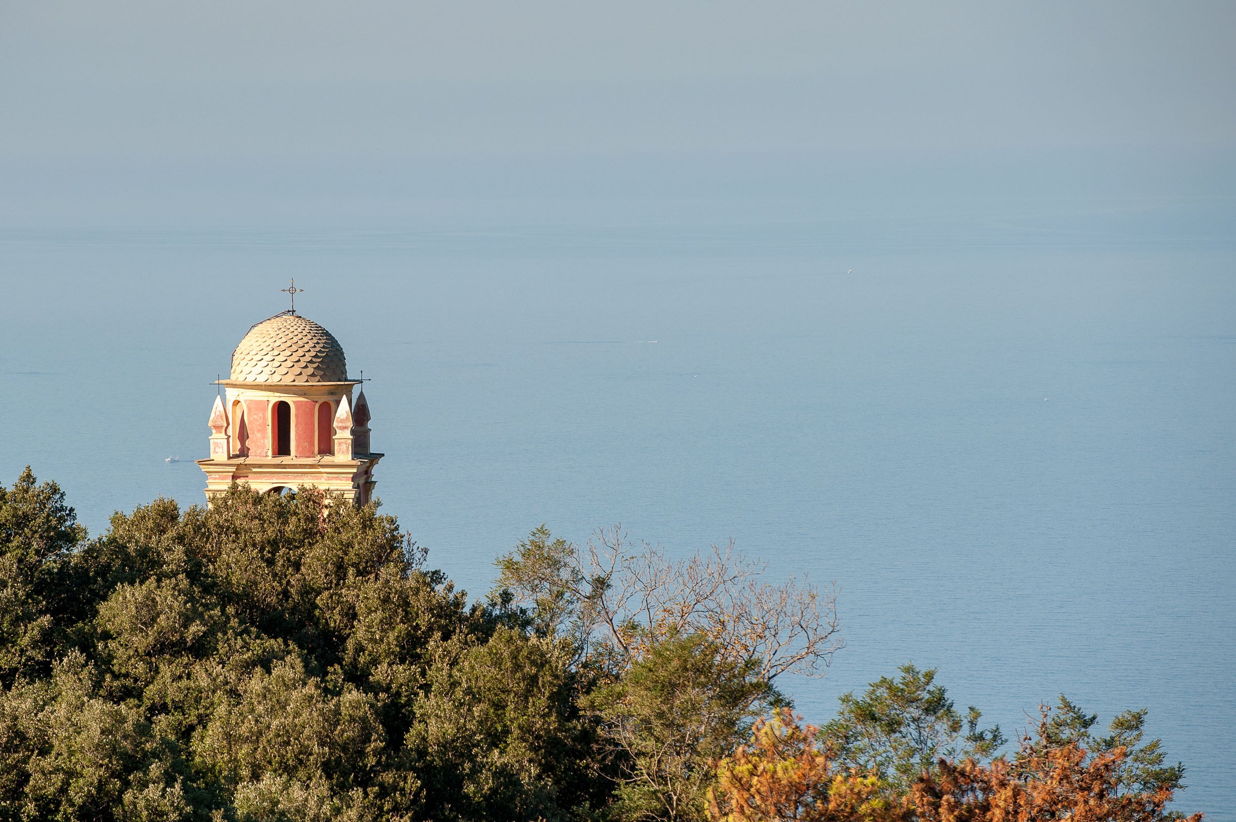 Riomaggiore. Il campanile del Santuario di Nostra Signora di Montenero fa capolino tra la vegetazione © N. Russo