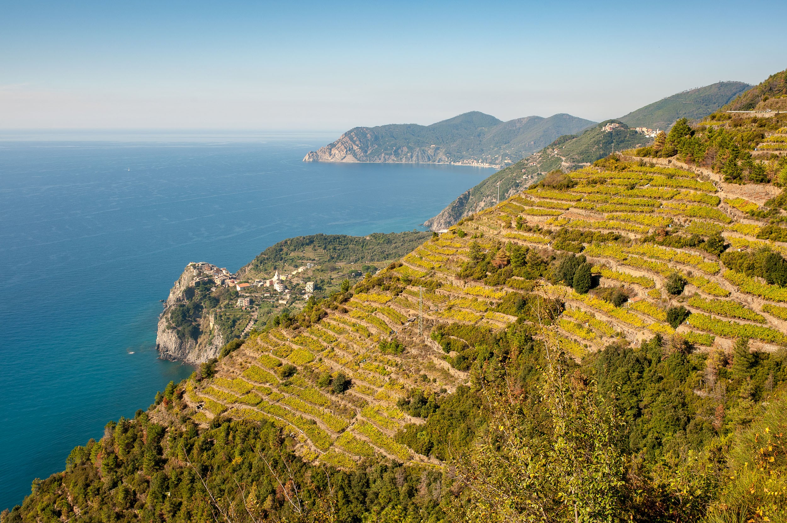 Vigneti nella zona di Volastra nelle Cinque Terre © N. Russo