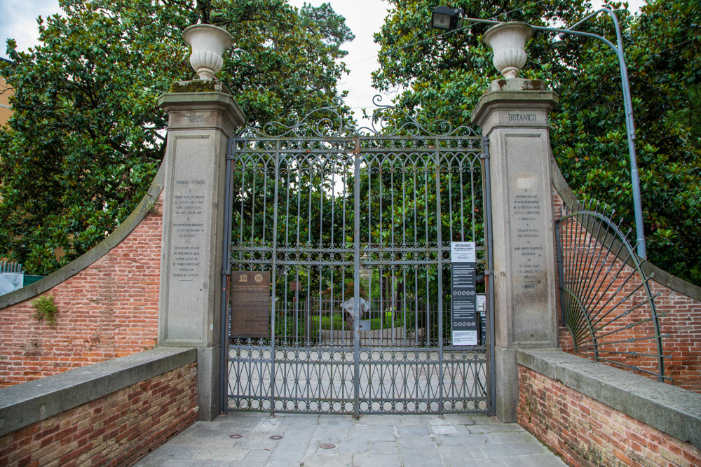 Cancello © A.Rossi, Camaleo S.r.l. (Rm) in collaborazione con l'Orto botanico dell'Università di Padova