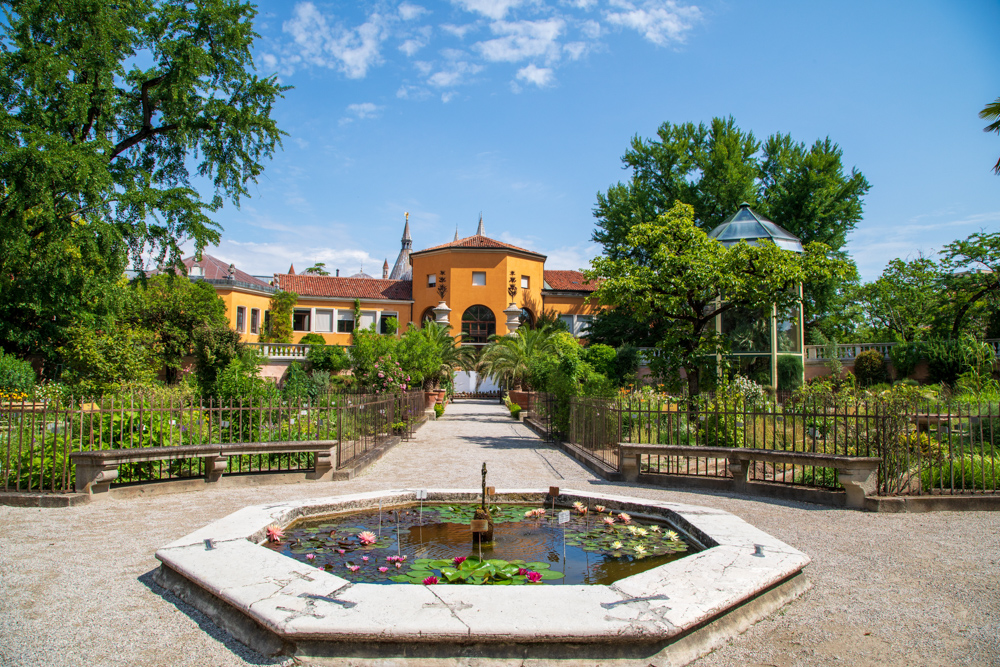 Vasca delle ninfee dell'Hortus © A.Rossi, Camaleo S.r.l. (Rm) in collaborazione con l'Orto botanico dell'Università di Padova