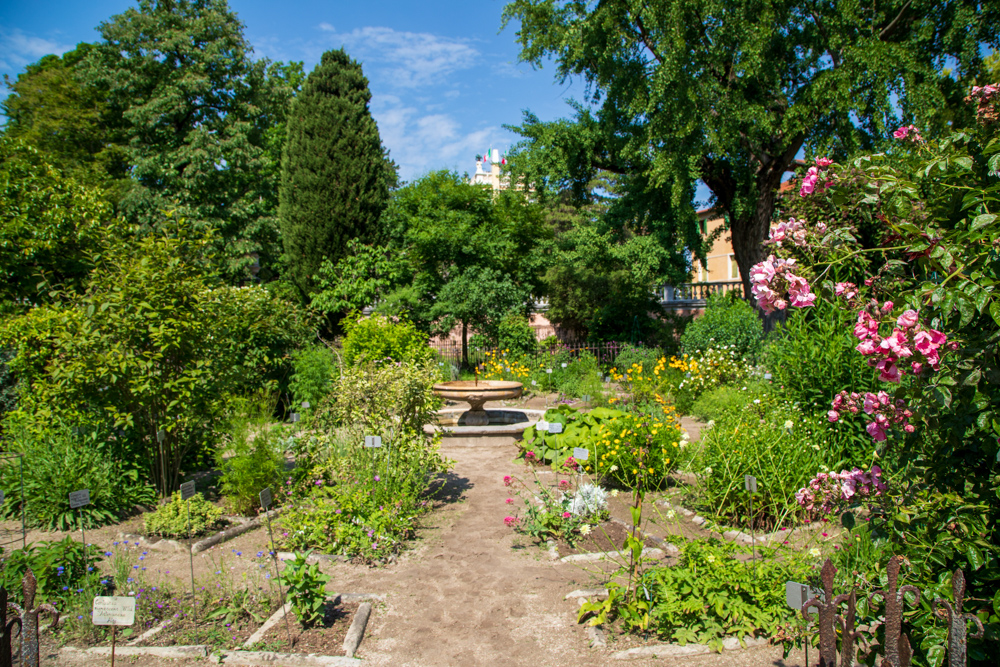 Giardini © A.Rossi, Camaleo S.r.l. (Rm) in collaborazione con l'Orto botanico dell'Università di Padova
