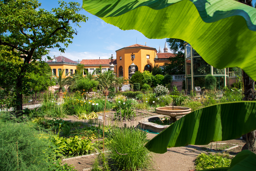 Giardini © A.Rossi, Camaleo S.r.l. (Rm) in collaborazione con l'Orto botanico dell'Università di Padova
