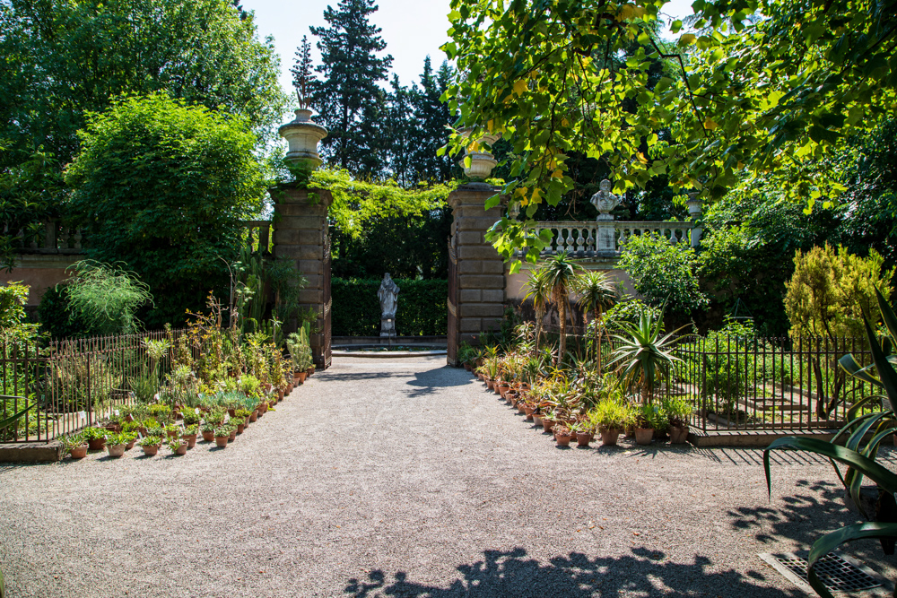 Giardini © A.Rossi, Camaleo S.r.l. (Rm) in collaborazione con l'Orto botanico dell'Università di Padova