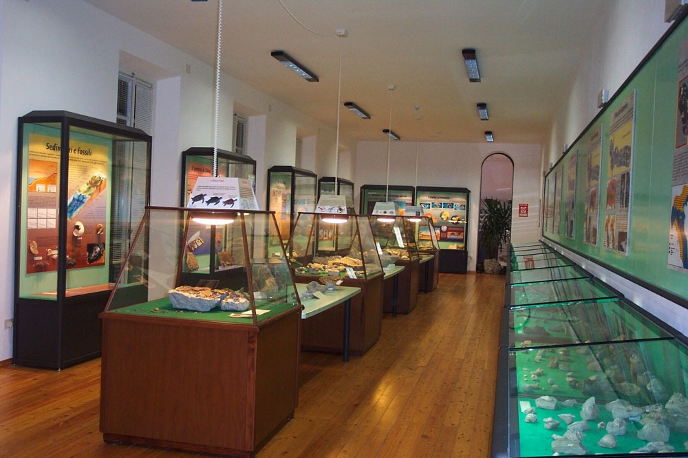 Salsomaggiore Terme Museo Paleontologico “mare antico” - Sala 1 © Comune di Salsomaggiore Terme